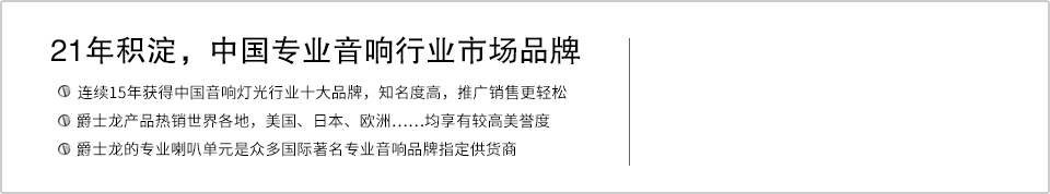 21年積淀，中國專業音響行業市場品牌